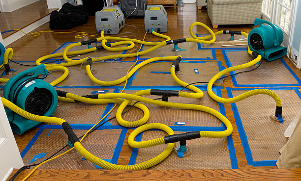 Professional Crawl Space Water Removal technician working in Elmwood Park, IL